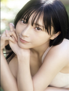 常开野蔷薇