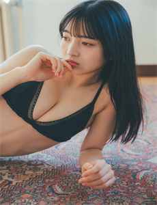 泰迪熊