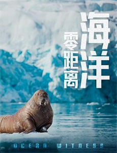 逆天双宝:神医娘亲又掉马了