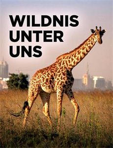 中国职场好榜样