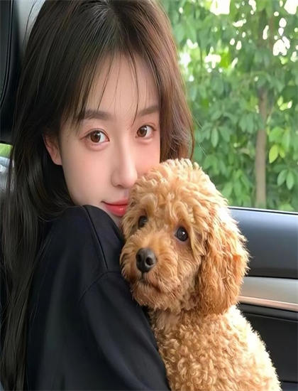 解码《山丹丹花儿开》：从剧情到主题的探索之旅